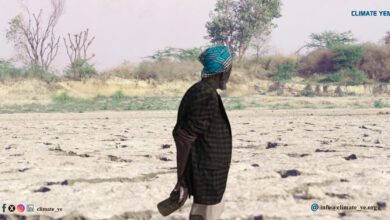 الزراعة والمزارعون في اليمن